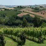 Poggio Montali Lantgård Monte Roberto