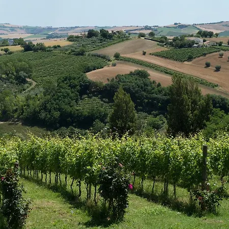 Poggio Montali ファームステイ Monte Roberto