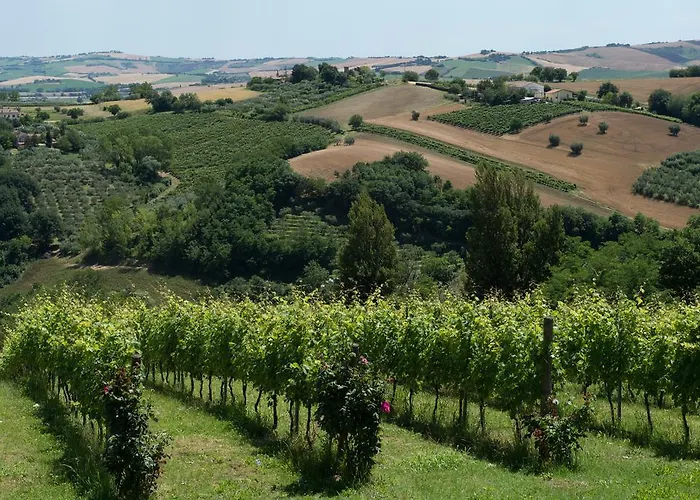 Poggio Montali مزرعة للإقامة مونتي روبيرتو